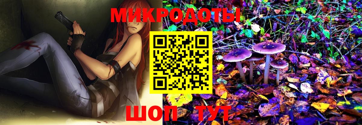 хочу наркоту  Вход с VPN  Йошкар-Ола  Галлюциногенные грибы Psilocybe 